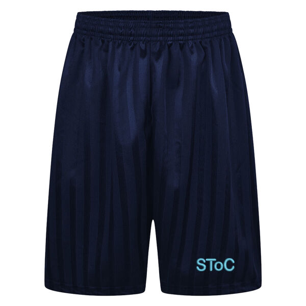 Shadow Stripe Shorts Thumbnail